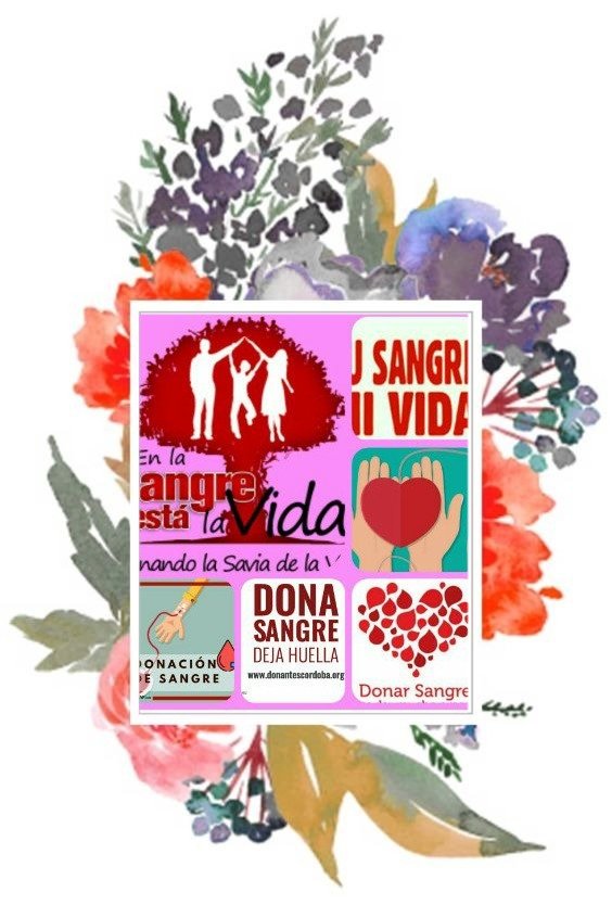 kirazeuss's tweet photo. Dona sangre...da vida...esta todo bien cuidado, vayan tranquilos...y sino ayudemos a recordar Difundiendo....y R.T. 
X. Favor. No ignoren.
💉R.T.🩸R.T.💉R.T.🩸🙏🙏🙏🙏🙏🙏🙏🙏🩸R.T.💉R.T.🩸R.T.💉 https://t.co/risXkPhvVw