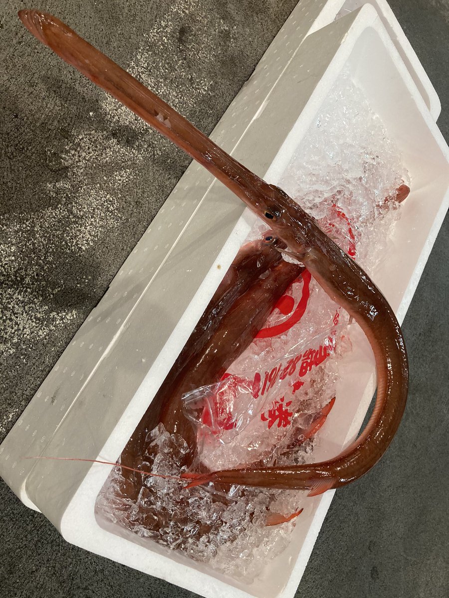 みんなの サンゴ礁 刺身 口コミ 評判 食べたいランチ 夜ごはんがきっと見つかる ナウティスイーツ