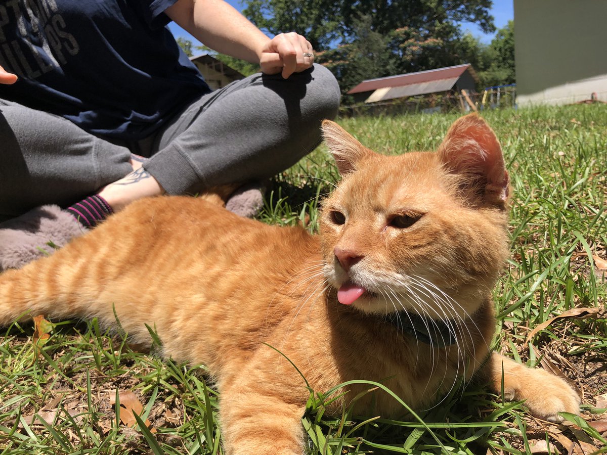 Whyut am, i thbkinks about??