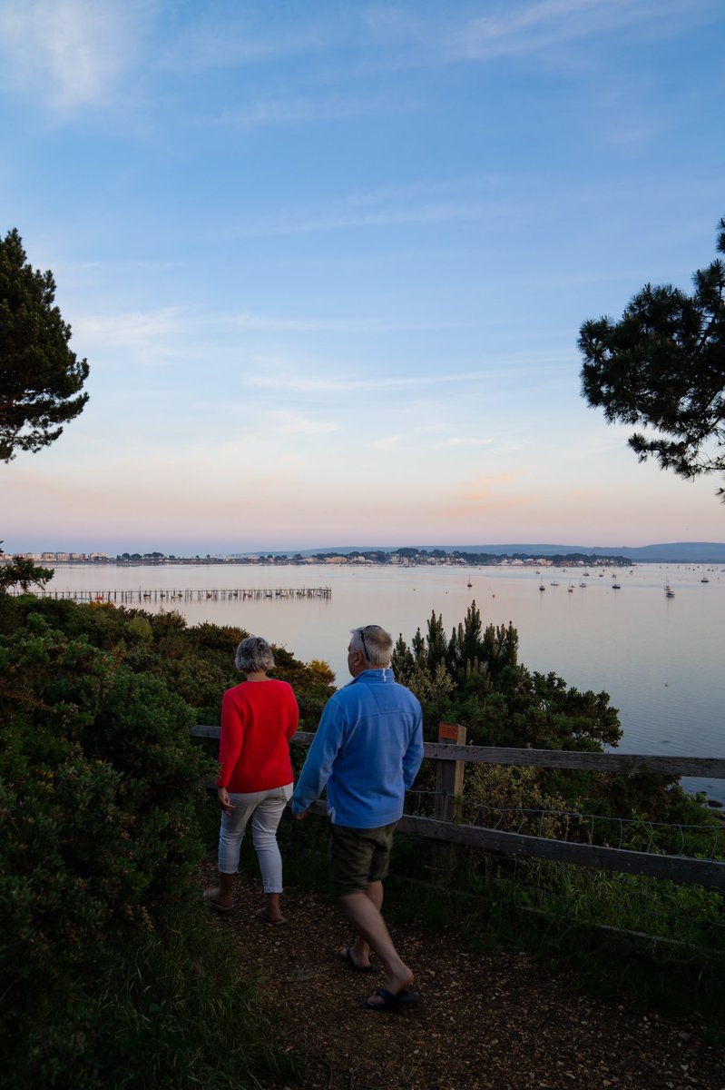 andreoloa's tweet image. Finally feels like summer