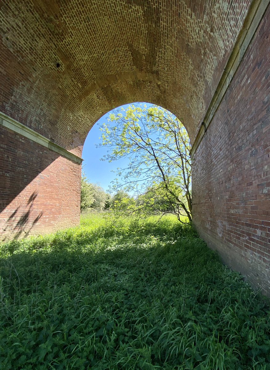 feel_paul's tweet photo. #itsgrimupnorth #exercise #stroll #photo #distraction #viaduct #rural #lifestyle @RamblersGB #countryside #wild #vegetation  #makeithappen #keepitcountry #farawayfromthemaddingcrowd with #borderterrier #godsowncounty #highcatton @sbib_bloom @East_Riding @Welcome2Yorks #Yorkshire https://t.co/HfexwbYS4d