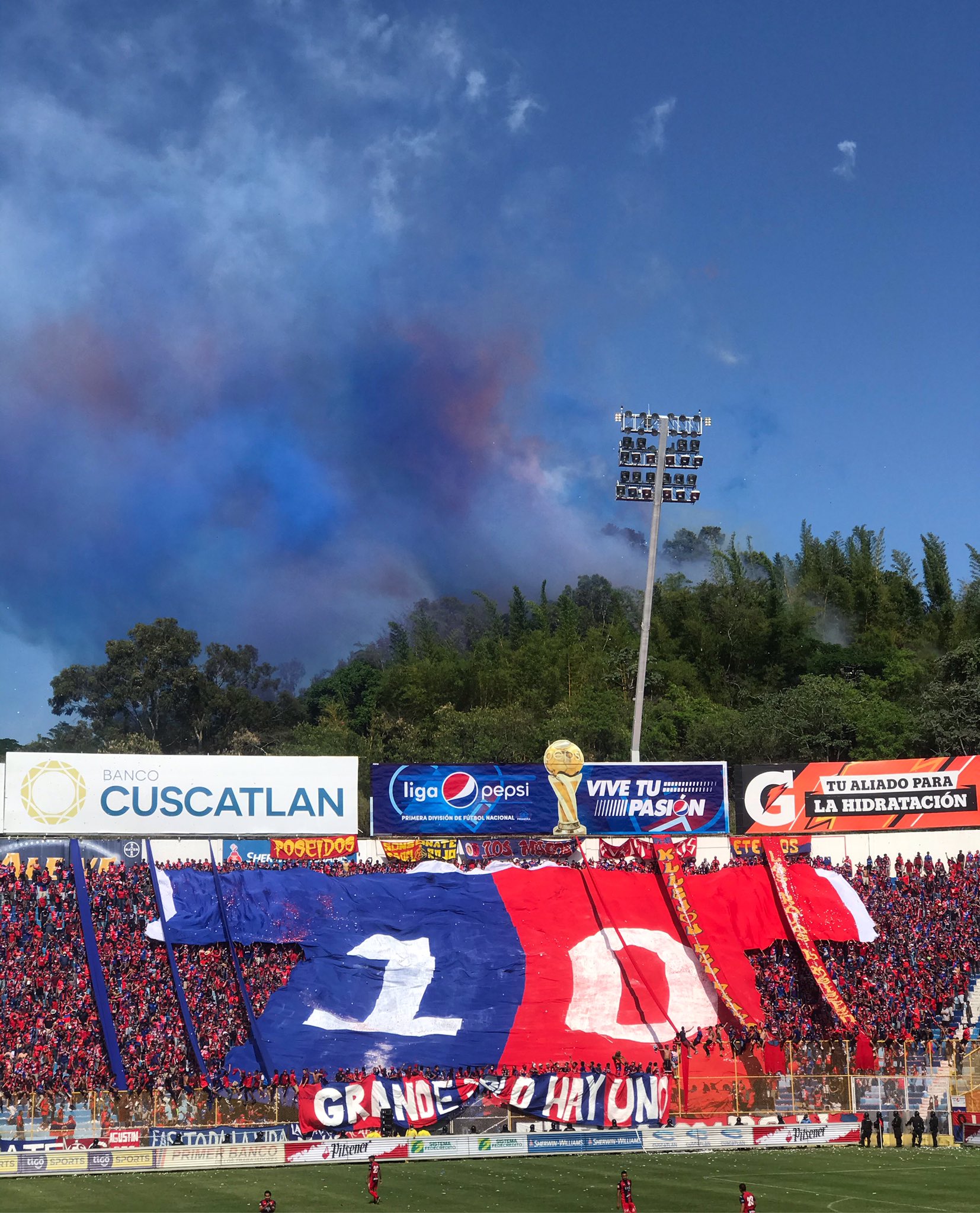 Club Deportivo FAS on X: 🐯👑 CLUB DEPORTIVO FAS👑🐯   / X