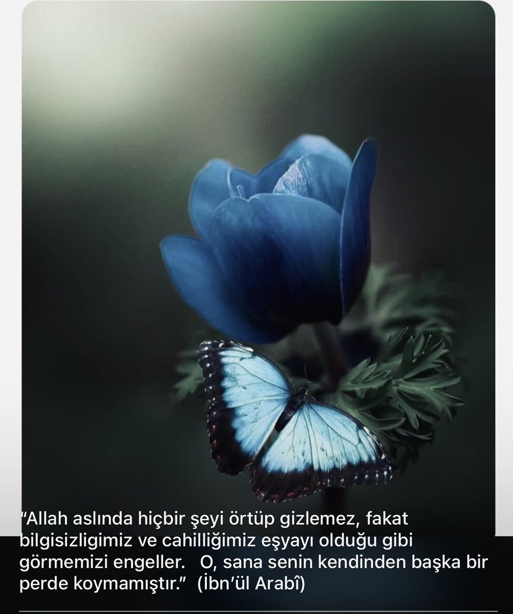 SengullTuncay's tweet photo. https://t.co/ttu8P10yIQ