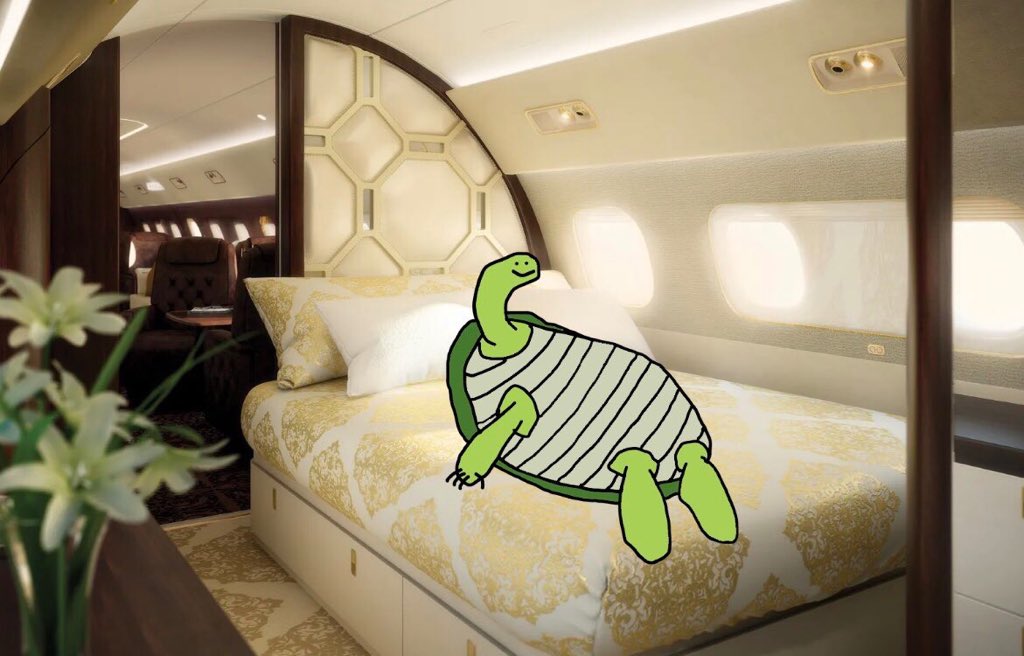 @dracubina It’s my private jet