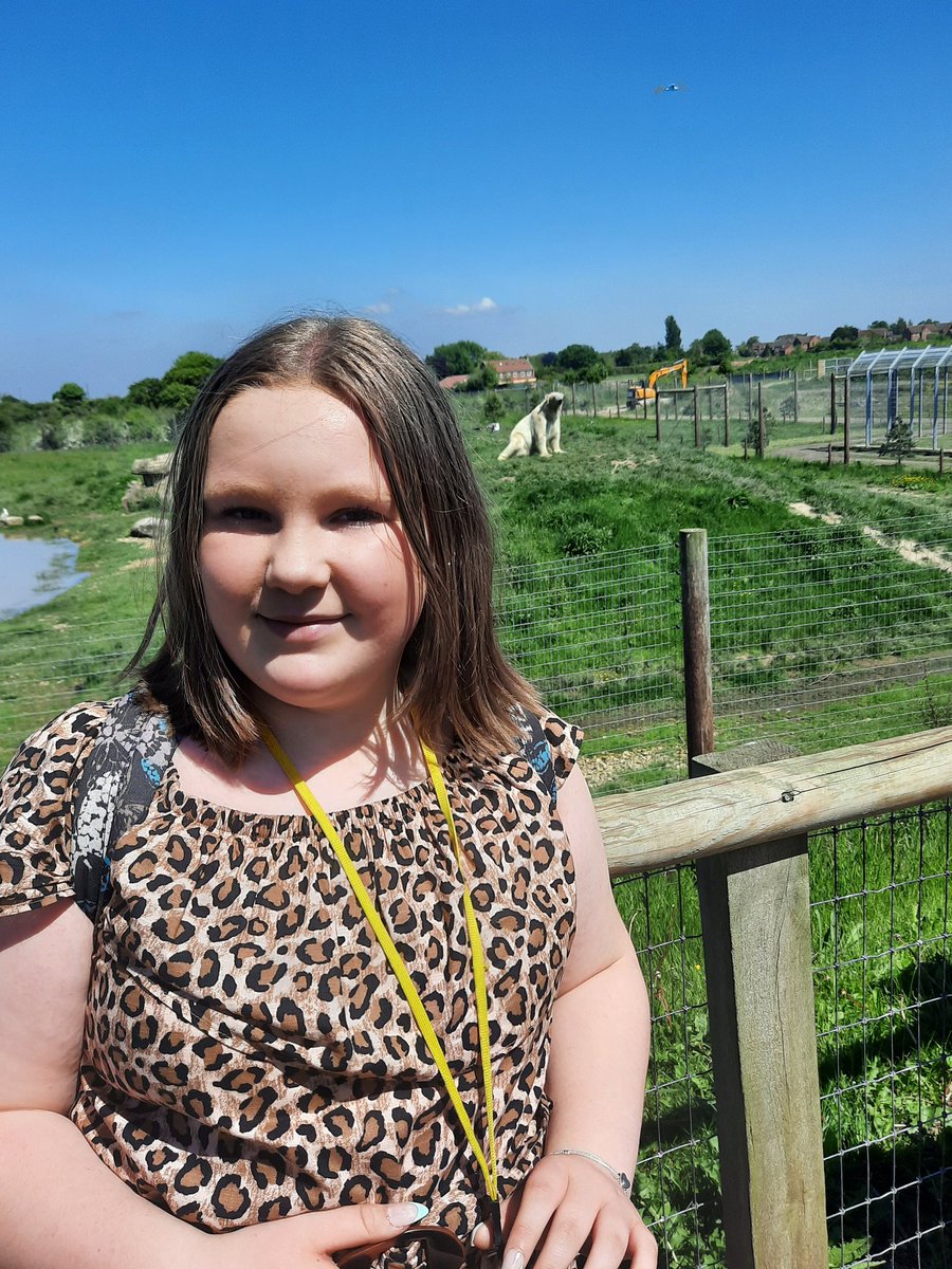 sam7886orourke's tweet photo. Great time at yorkshire wildlife park today! #polarbear #zoodays https://t.co/XDQP3hbLIg