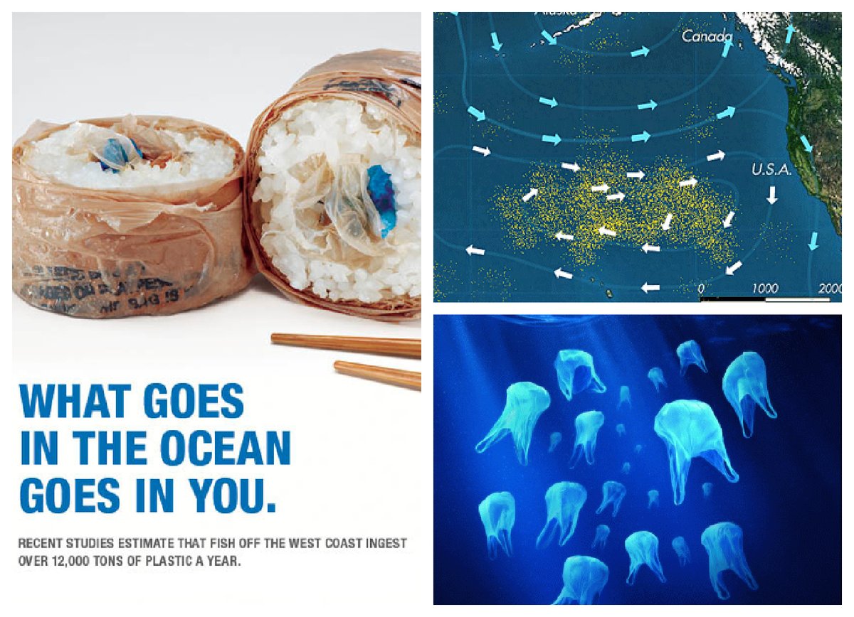 Тихий океан. Акватория моря. Синее море. Серфинг и каякинг. Приложение океан.