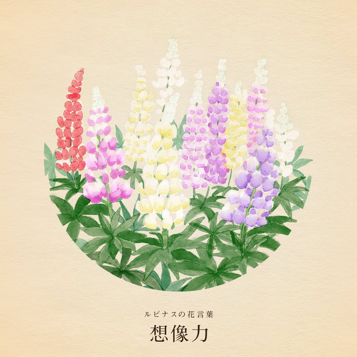 きょう5月31日は 世界禁煙デー 青峰忌 古材の日 藻岩山の日 土方歳三の誕生日 クリント イーストウッドの誕生日 誕生花はルピナス 花言葉は 想像力