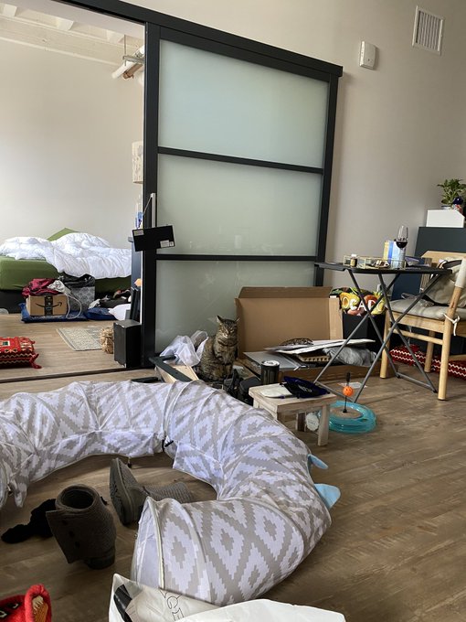 more unpacking &amp; hangin out with Ellie today 😻  around roughly 7pm I&rsquo;m thinking of going live on OF later<a href="/tag/throne"class="tags"><span>#throne</span></a><a href="/tag/wishlist"class="tags"><span>#wishlist</span></a>