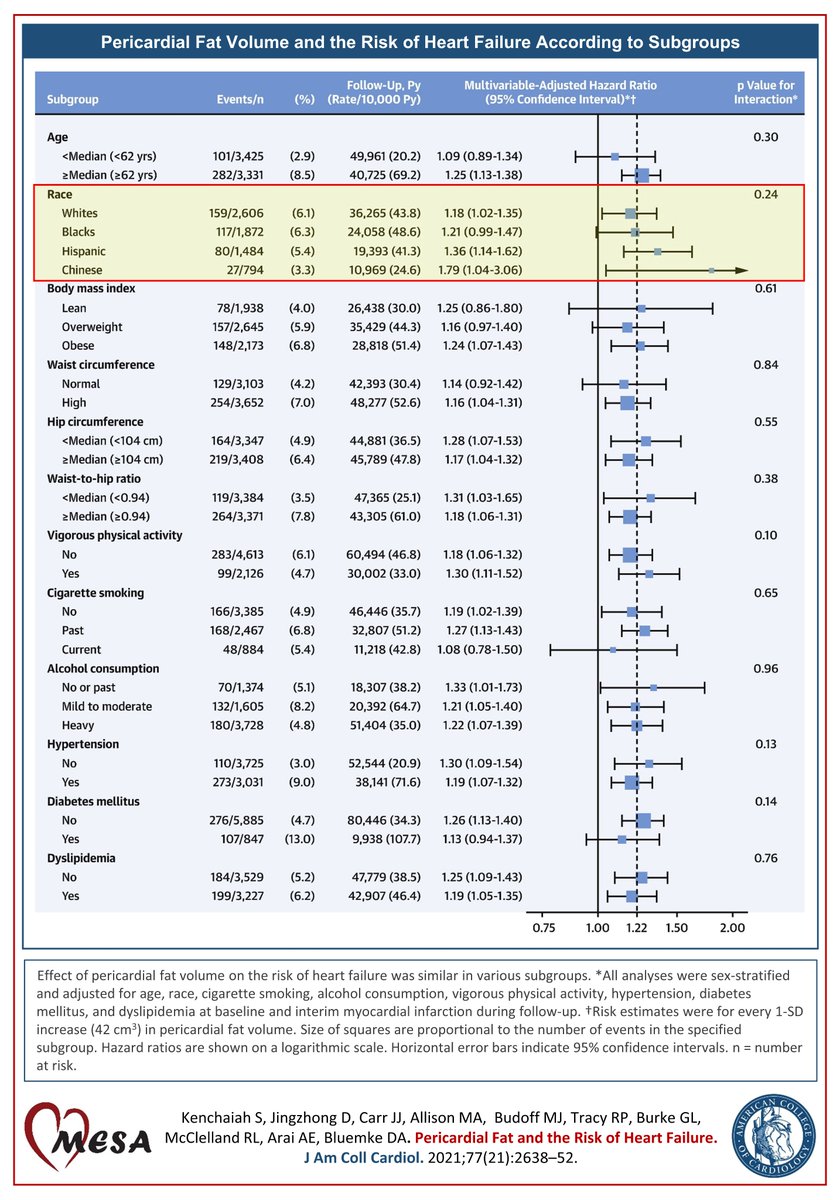Race and/or ethnicity did not alter the association between pericardial fat and the development of heart failure; the strength of the association was similar in White, Black, Hispanic, and Chinese Americans.