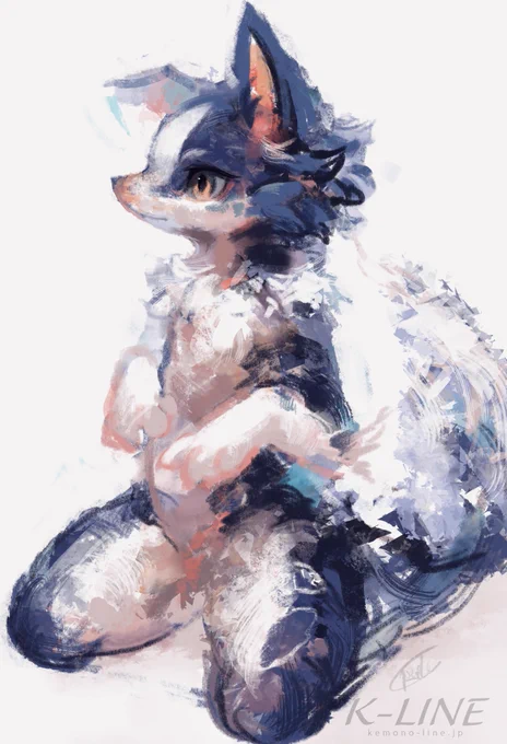 Border collie #RadysSketchbook 
