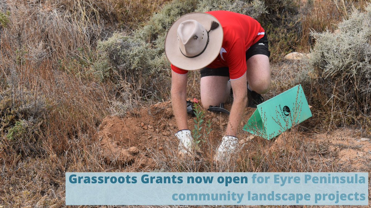 There’s still time to apply for a Grassroots Grant for your local community-based landscape management project. Grants of up to $10,000 available. Applications close June 9. More details bit.ly/3hf3RbS