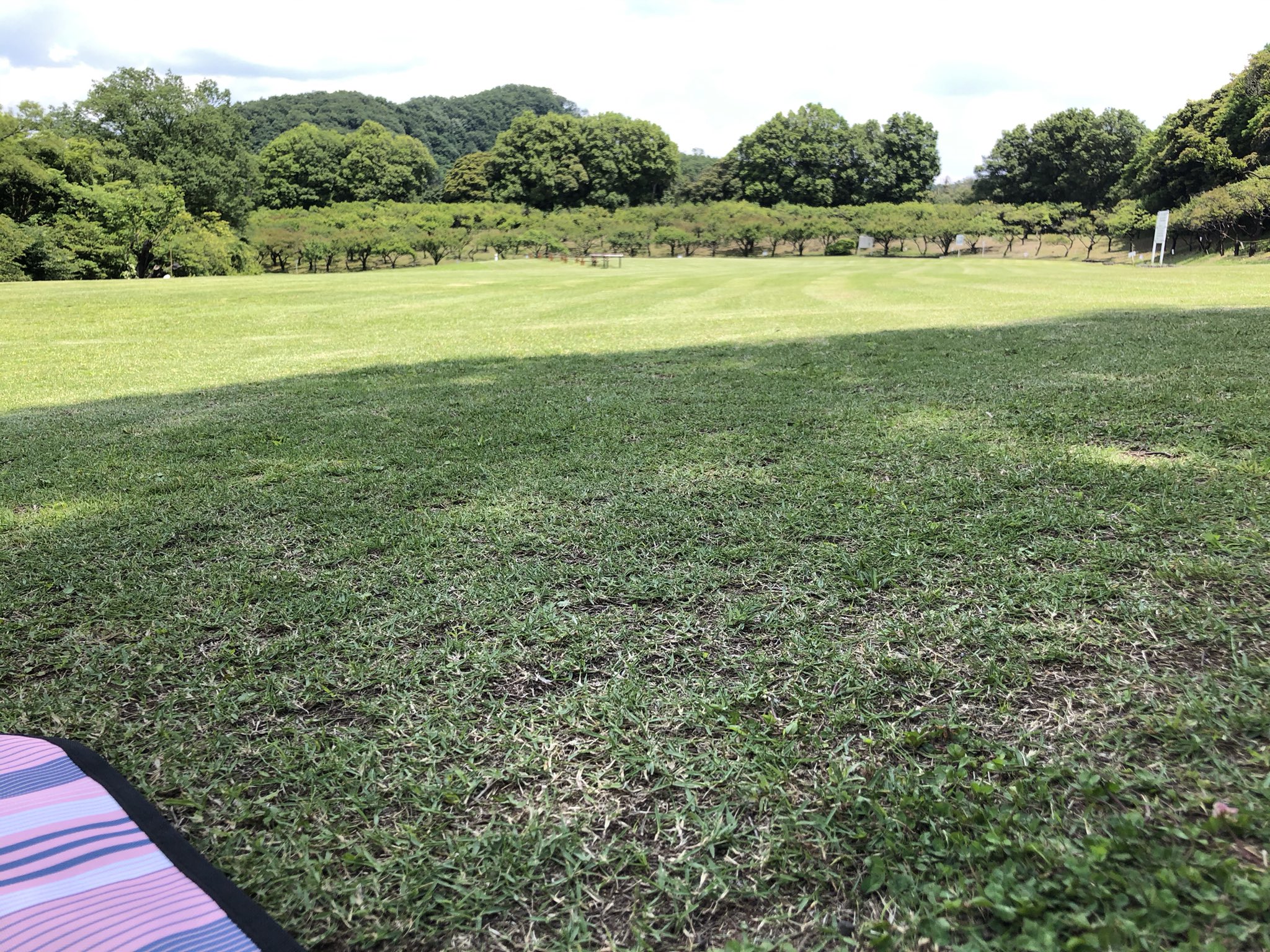 No Con 芝生の公園でピクニック 近目で見ると雑草だらけだけど 遠目で見ると芝刈り跡がとてもきれい T Co 2ydywnhprl Twitter