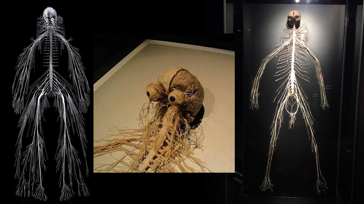 I'm so tired of fighting skeletons in every video game. When ...