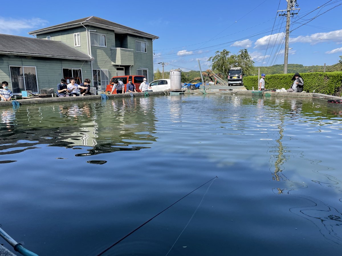 中の島 釣り堀 金魚 中の島 釣り堀 金魚