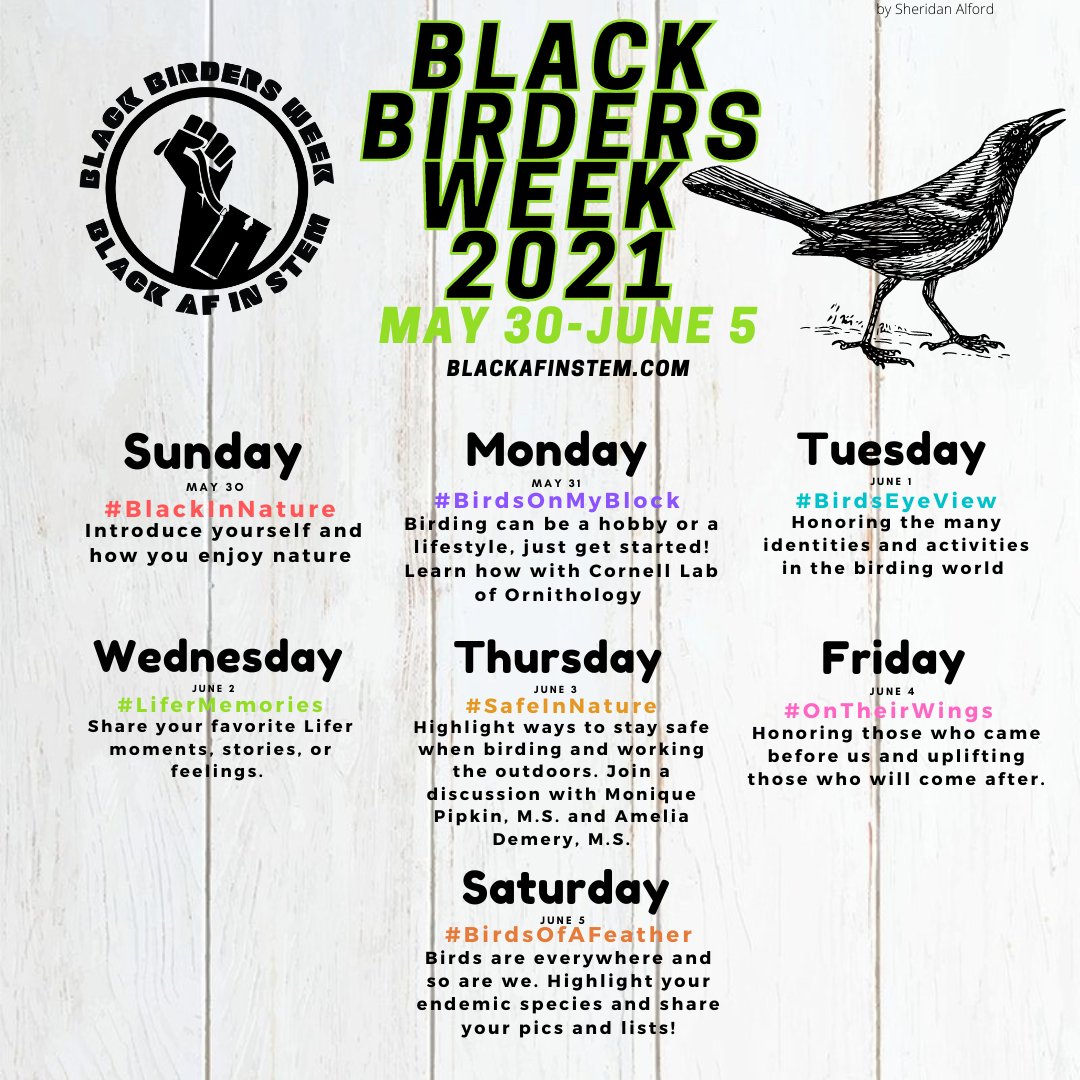 UrbWildlifeCast's tweet photo. Remember to follow the action this #BlackBirdersWeek2021 see the schedule for each day's hashtag https://t.co/cxwD9YuoSb