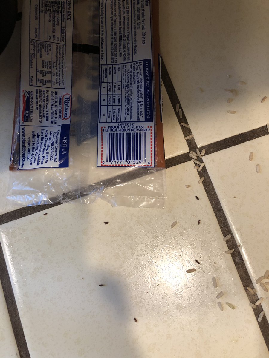shawneesaur's tweet photo. @BlueRibbonRice hi, can you explain how I found SIX live bugs in my bag of rice? This is disgusting, I’ve never had this problem before. https://t.co/y4H3pyn9rK