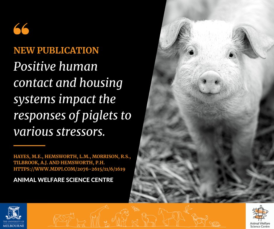 Animal Welfare Science Centre tweet media