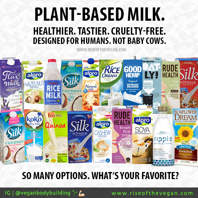 veganfuture's tweet photo. Plant-based milk - healthier, tastier, cruelty-free. #DitchDairy https://t.co/d3W6J7McJW