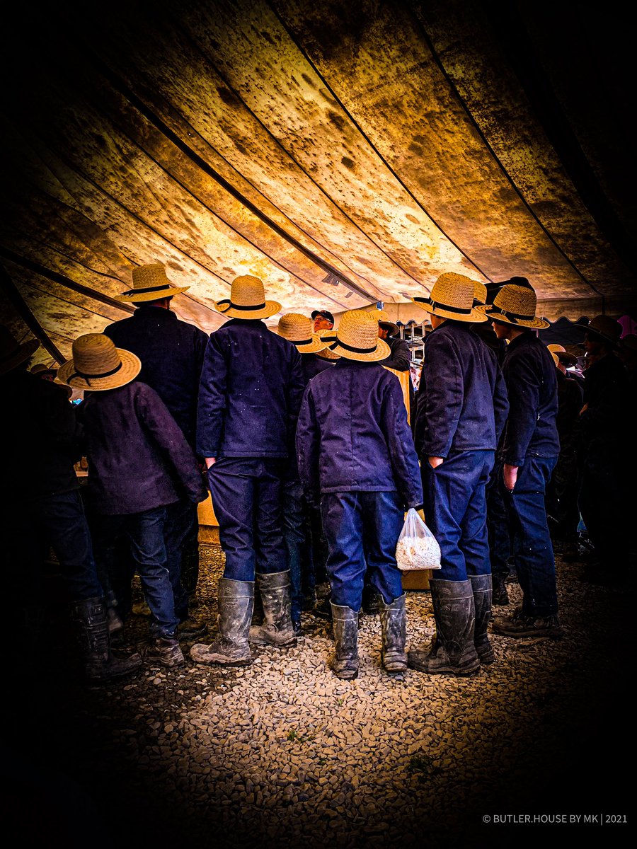 ButlerInn's tweet photo. Amish Life | photo of the year by MK | 2021 Amish Relief Auction New York #amish #life #by #mkbutler #amishreliefauction #newyork #حياة #الاميش #نيويورك #بيت_البتلر #بتلر #butlerhouse #travel #explore #experience #cear #love https://t.co/mY0bEcQICe