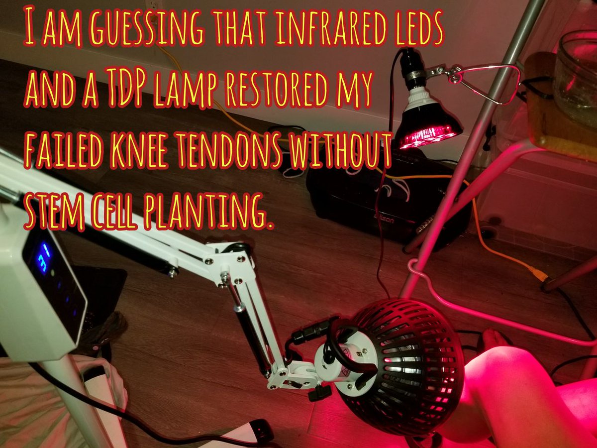 IceAge_Farming's tweet image. I am guessing that infrared leds
and a TDP lamp restored my
failed knee tendons without
stem cell planting.