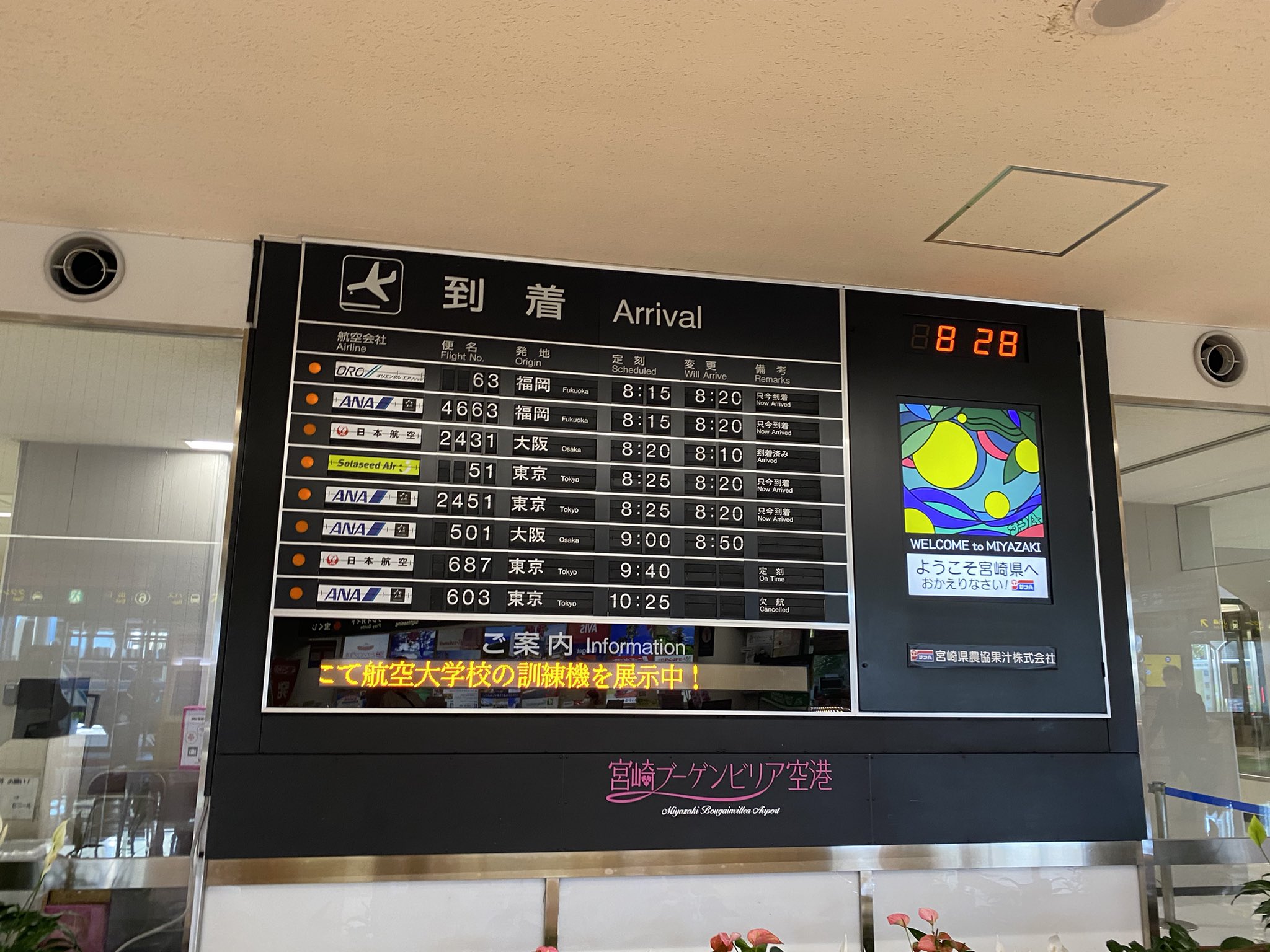鳥海高太朗 宮崎空港に到着 今回は週末から取材が続くことから 先週金曜日に羽田空港第2ターミナルのpcr検査センターで唾液を使ったpcr検査を受けてきました 結果は4時間後にメールで届きました 今回は飛行機に乗らない日だったのでpcr検査のみにしま