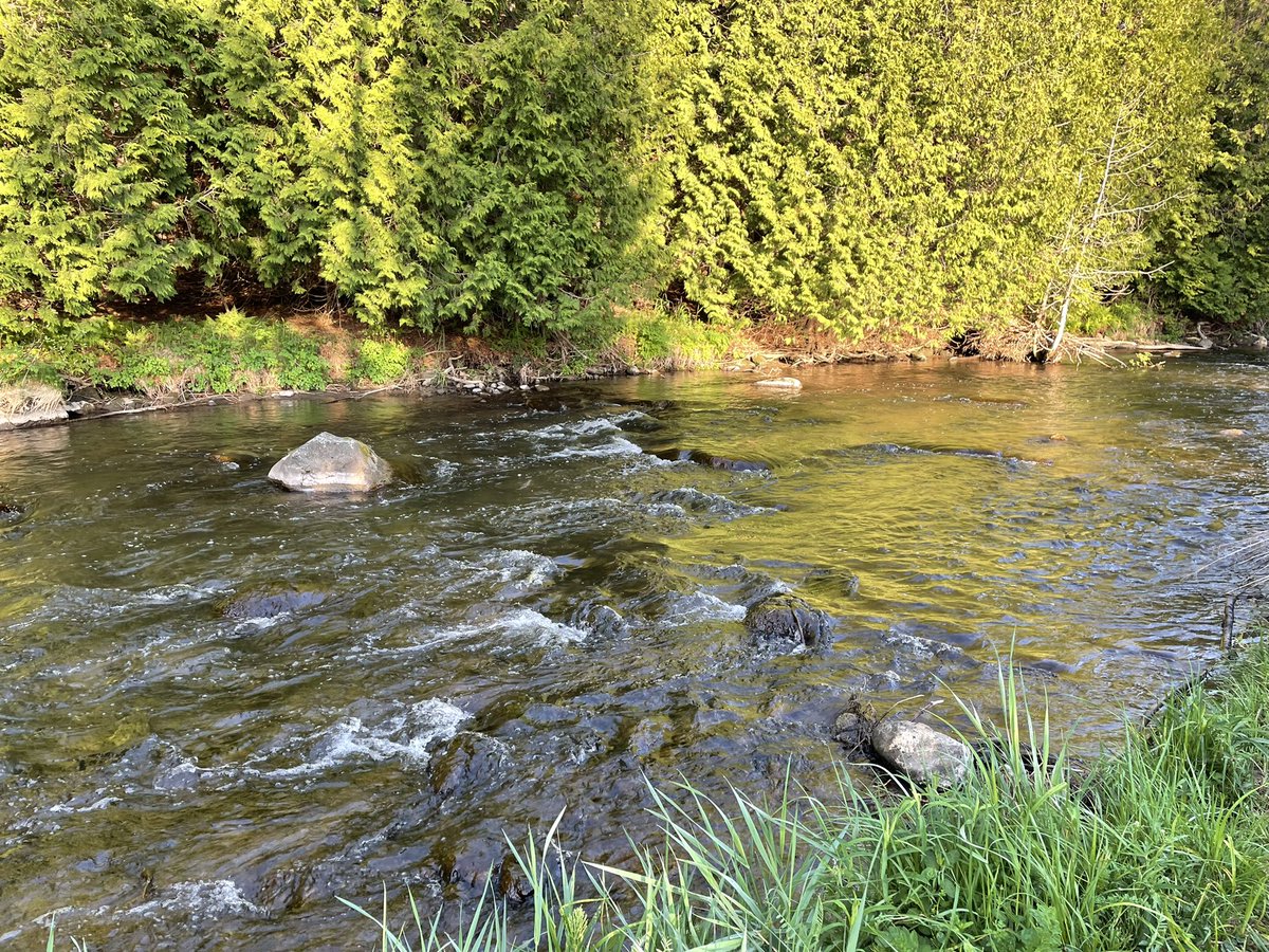 cycmccallum's tweet photo. @CityNatasha @breakfasttv Early morning walk with the trails to myself near Alton Village. https://t.co/rDiyGHITOL