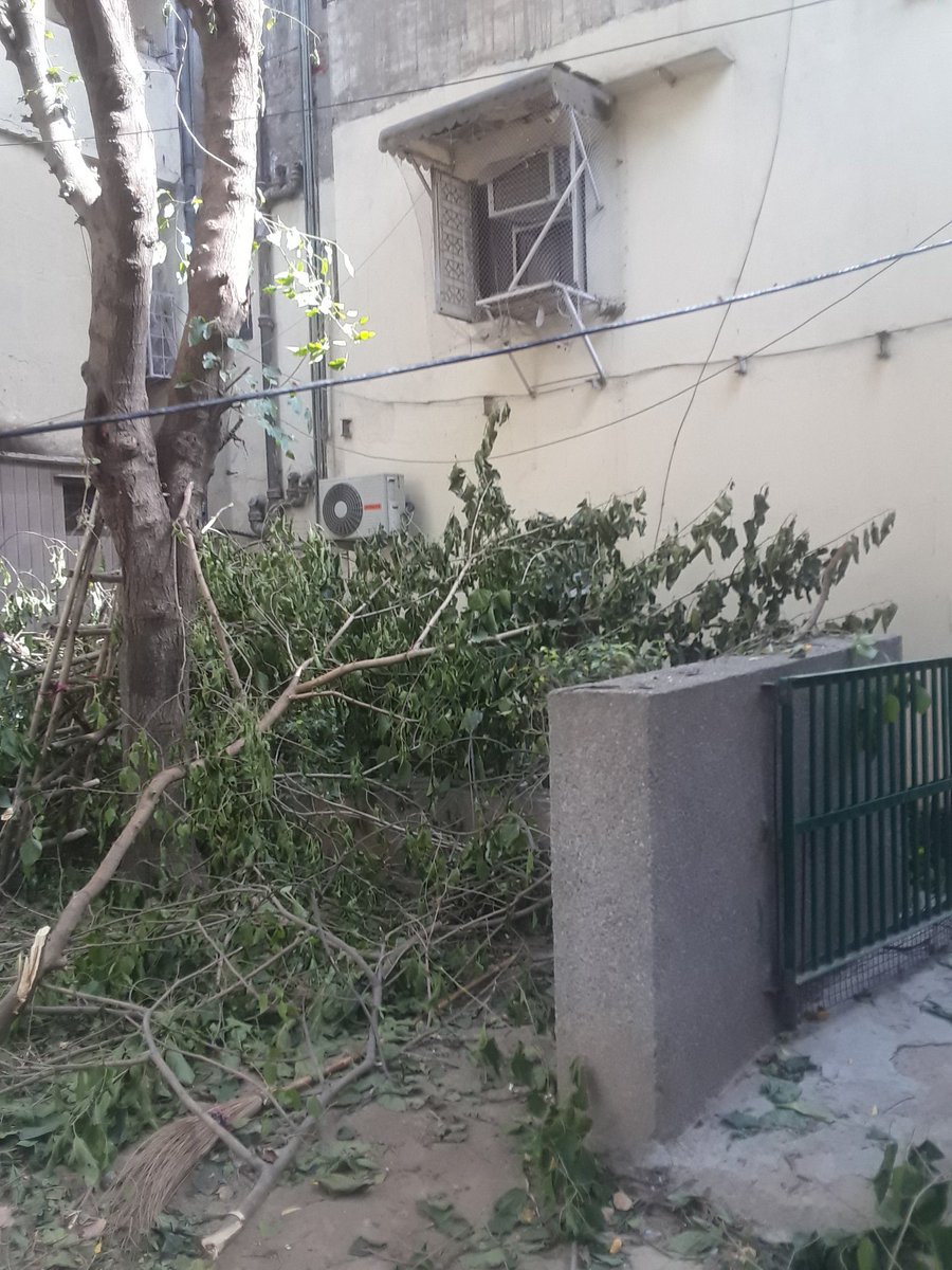 DeepaliAggarwa's tweet photo. @Manekagandhibjp 
A majorpart of a tree within a small public park having located at pkt. -B-6,Sector-4, DDA Complex, Rohini, Delhi-85 has been cutted illegally which can be verified even at this moment also. It ispertinent to mention there is a CCTV also  footage can be checked https://t.co/5shMFFURch