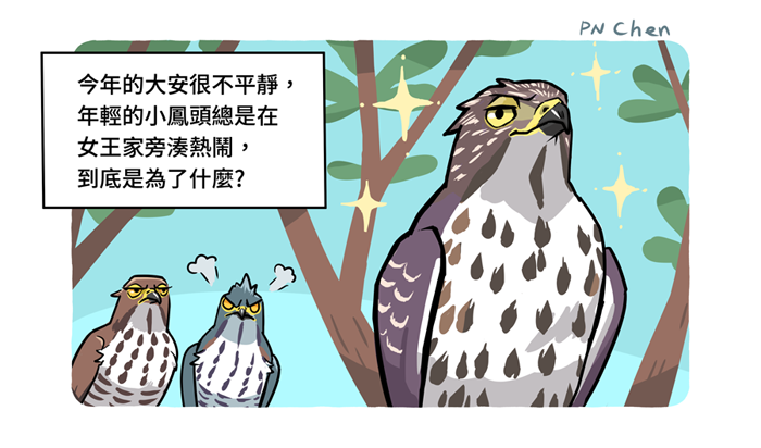 تويتر Chenpn على تويتر 鳳頭蒼鷹 畫的時候腦中出現台灣配音員的聲音 ｑ 21年 夏天 小明在華江河濱公園散步時看到一隻帶有色環的鳳頭蒼鷹 上網詢問後發現牠於16年在巢內被繫放 請問這隻鳳頭蒼鷹是第幾曆年的鳥呢 答案在裡面 大安森林公園