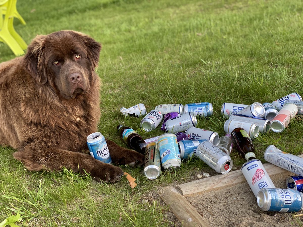 reneemdrap's tweet image. While I previously applied for the CTO position.  I thought perhaps you would benefit from knowing how I am spending my Memorial Day weekend.  Friends, Family, fun out side and Busch. Again, my name is Hazel.  #buschCTOcontest