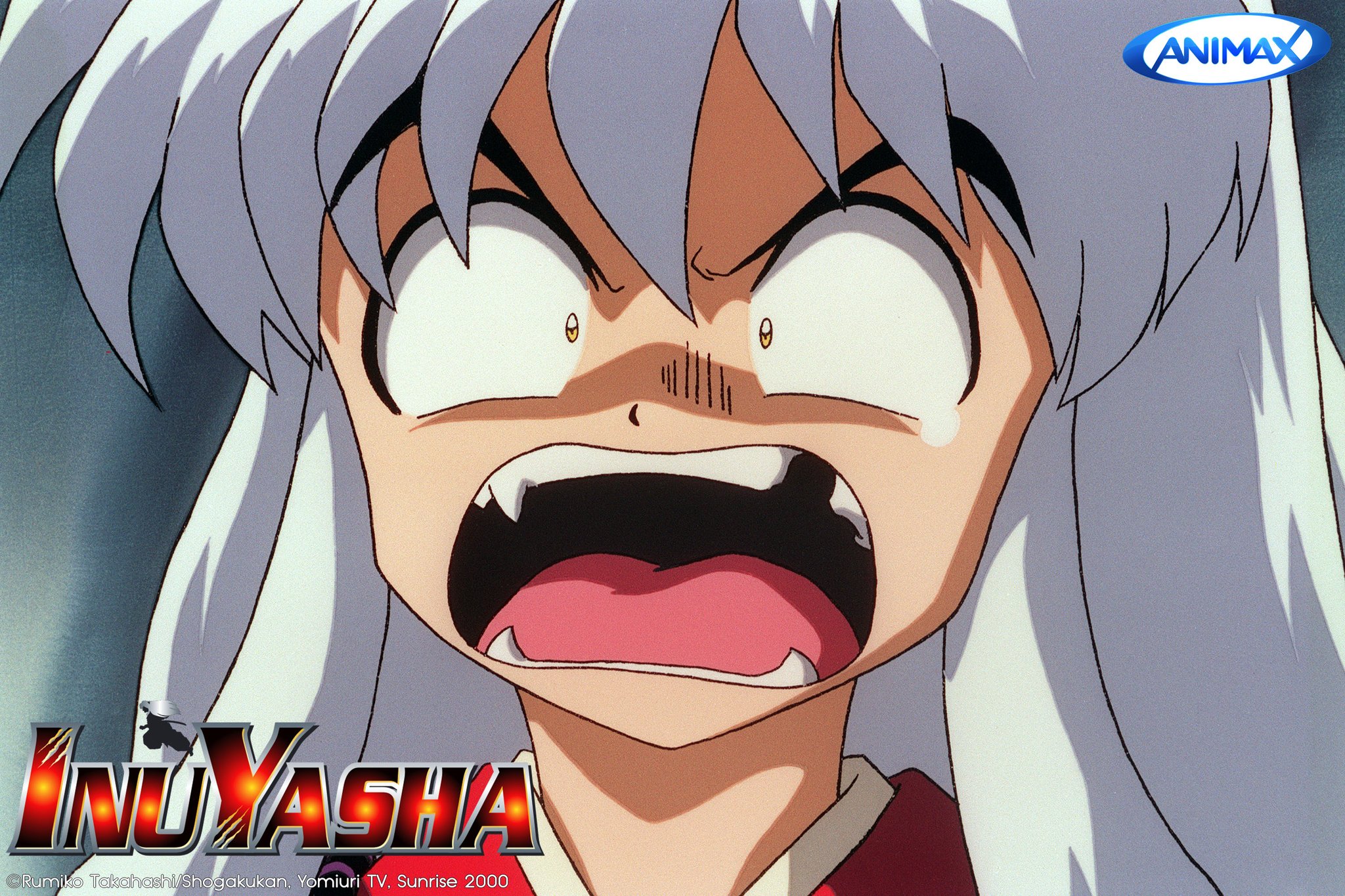 Animax Asia Tv Can T Get Enough Of Inuyasha Maybe It S Time You Met Their Kids Too Watch Out For The Premiere Of Yashahime Princess Half Demon On Animax Coming This June