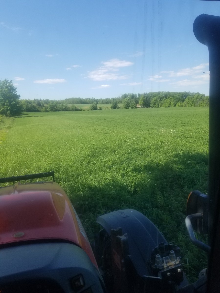 #hay21 has started at Pine Glen Farms #cowchow