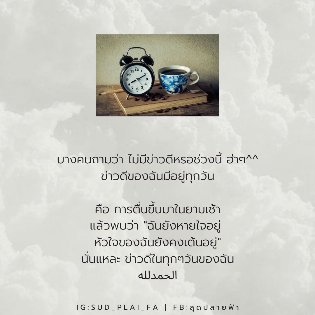 สุ ด ป ล า ย ฟ้ า 🌿 tweet media