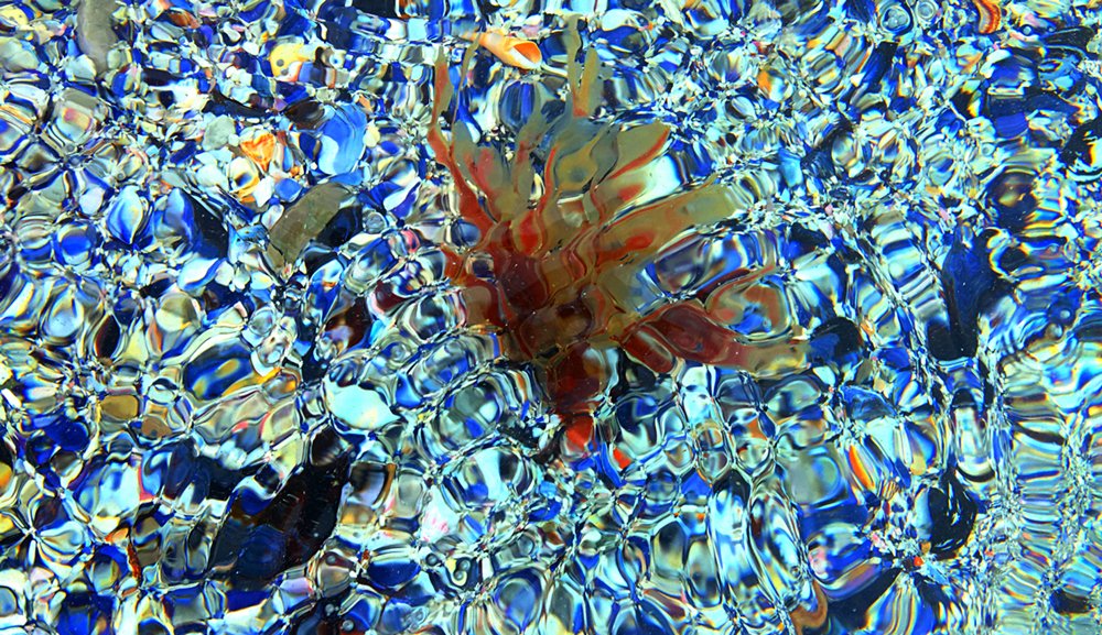 artthescience's tweet photo. Artist SaySayLove uses photography to explore the beauty and power of water. The artist investigates water as more than essential to life, but as intrinsic to all biological and cultural history. 

#GenerationRestoration #SciArt #SciComm @YuliaKrolik

https://t.co/XJVckizdsD https://t.co/Bt8rbzPaVw