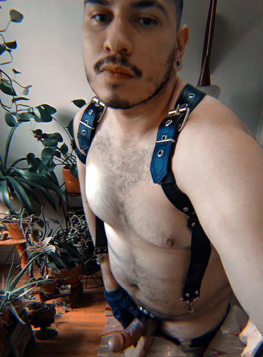LeatherXXXjock's tweet photo. Lo prometido es deuda. 🔄 RT si quieres tenerla adentro. Así como se ve 😈🥵🔥 https://t.co/VJt6BJ9m2L