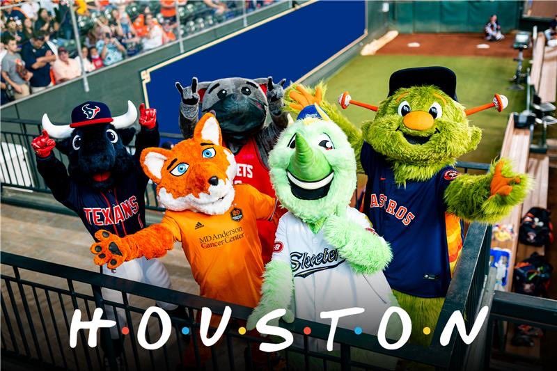 TORO 🐃 tweet media