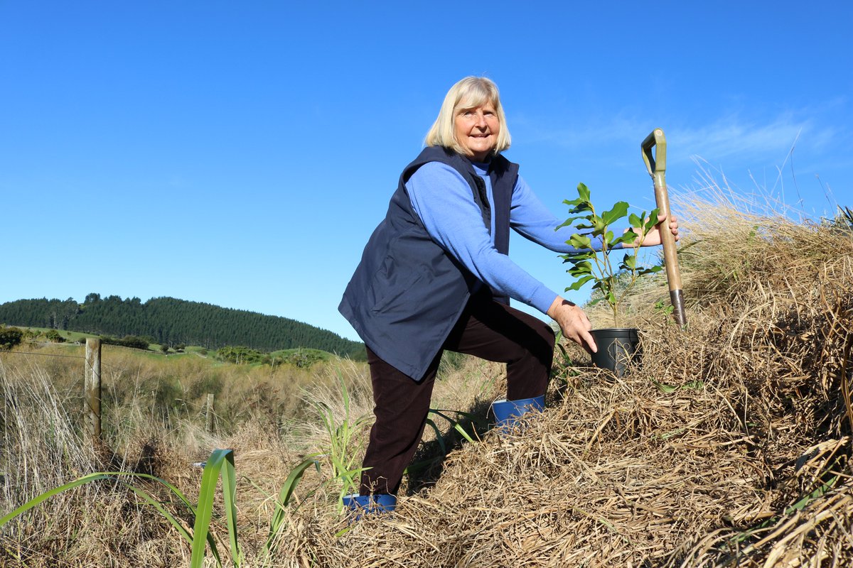 RwnzTauranga's tweet photo. Protecting and enhancing the environment is important to WBOP Rural Women NZ which is why we are supporting Arbor Day / World Environment Day June 5 2021
#WorldEnvironmentDay #WorldEnvironmentDay2021 #arborday #environment #tree #treesthatcount #onebilliontrees https://t.co/Yev2EulRiY