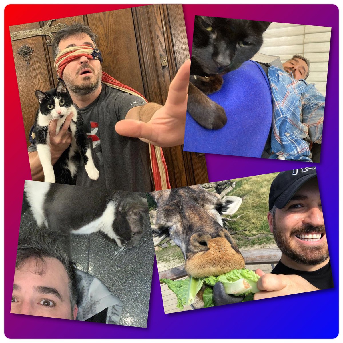 @RealBenjaminCat <a href="/ItsBrooklynCat/">Brooklyn Cat</a> <a href="/ItsChessieCat/">Chessie Cat</a> Happy Memorial Day POPS!!!!! 🇺🇸🎉🍿❤️💋