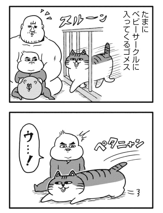 猫と赤ちゃんのグッドコンビネーション🐱👶
#ヒゲ母ちゃんがんばりマッスル 