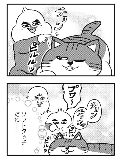 猫と赤ちゃんのグッドコンビネーション🐱👶
#ヒゲ母ちゃんがんばりマッスル 