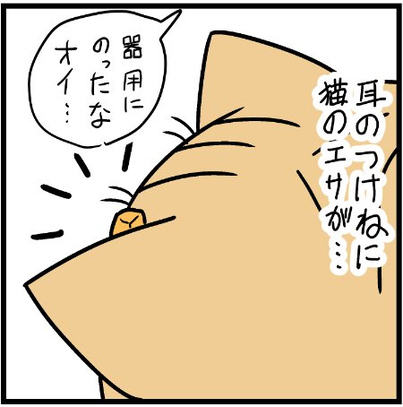 ミュウくんにエサをやっていたら・・・笑
 #ニャンコ #まんが #マンガ #猫  #ねこ #猫あるある #猫漫画 #ペット #飼い主 #エッセイ漫画 #キャット #ねこのいる生活 #漫画 