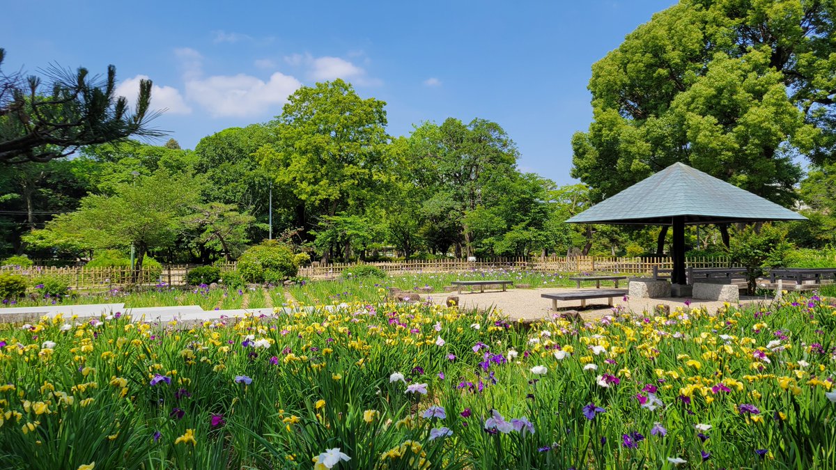 鶴舞公園 Hashtag Sa Twitter 鶴舞公園 Hashtag Sa Twitter