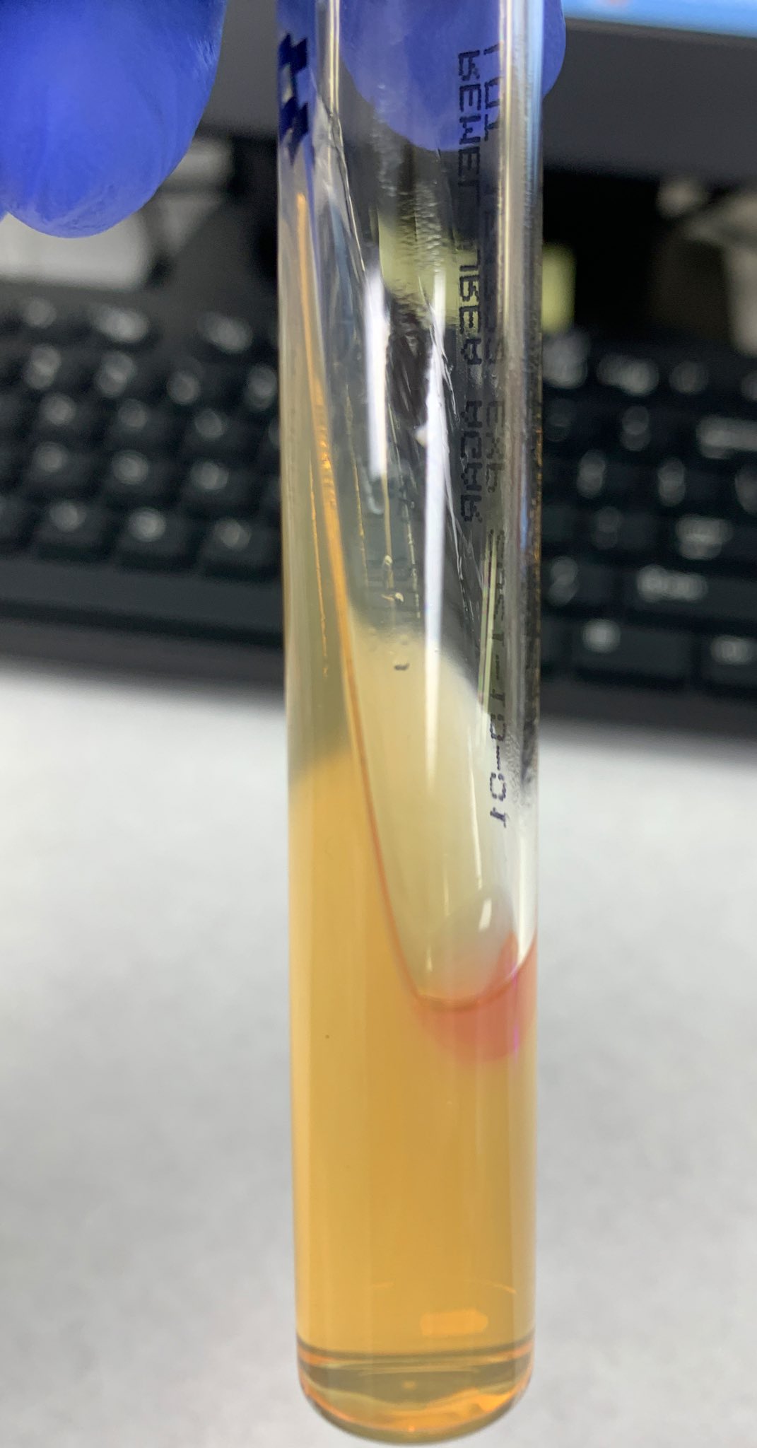 Aaron Odegard MS (He/Him) on Twitter: 