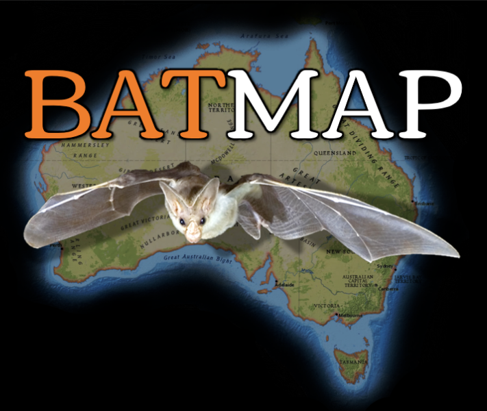 Australasian Bat Society tweet media