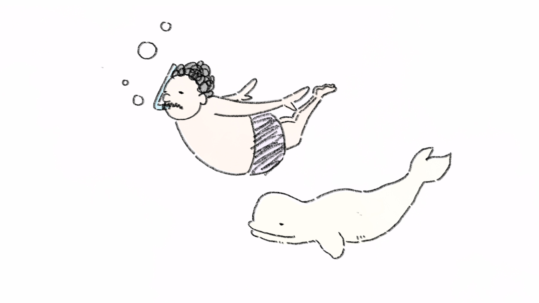 ごはんおにぎりごはん Rice Riceball Rice シロイルカさんと泳ぎたいおじさん イルカ イルカ イラスト シロイルカ ベルーガ 動物イラスト 一日一絵 イラスト イラスト好きな人と繋がりたい ゆるいイラスト 絵描きさんと繋がりたい T Co