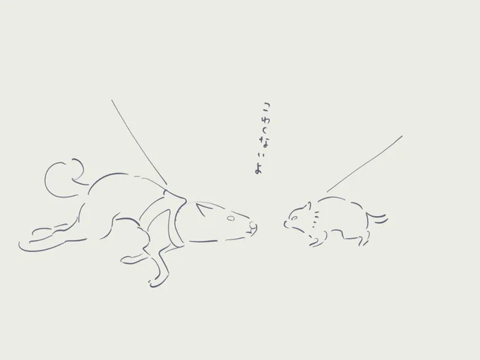 今日の怖がる犬と寝そべって敵意無いアピールするとと 