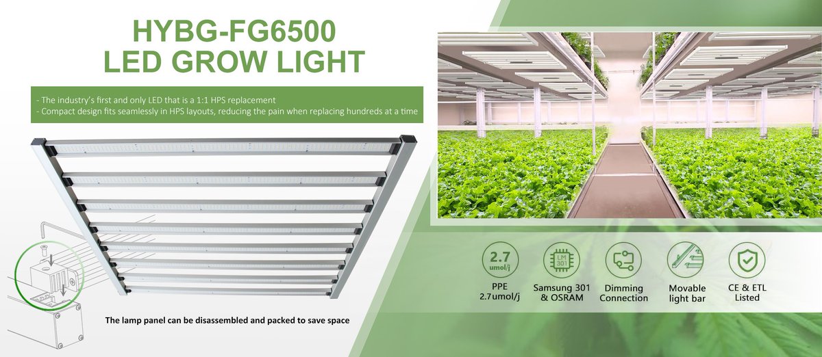 DreamyChan2's tweet photo. Attention, growers who interested in the FGlights!!!💚
The below lights price will down a lot in a few minutes. Catch this chance to get these light fixed the "hot spot" on panel, more evenly par distribution, get uniform crops🔥🔥🔥🔥
Happy growing with BioGrow LED! https://t.co/l72zJB3pGo