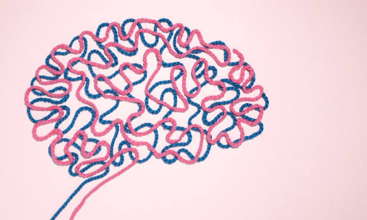 SoehannaHall's tweet photo. The brains of adult men are about 10% larger in total size than the brains of women.
#factretriever #menfacts #womenfacts #didyouknow #funfacts #trivia #soehannahall https://t.co/yzan8QDM95