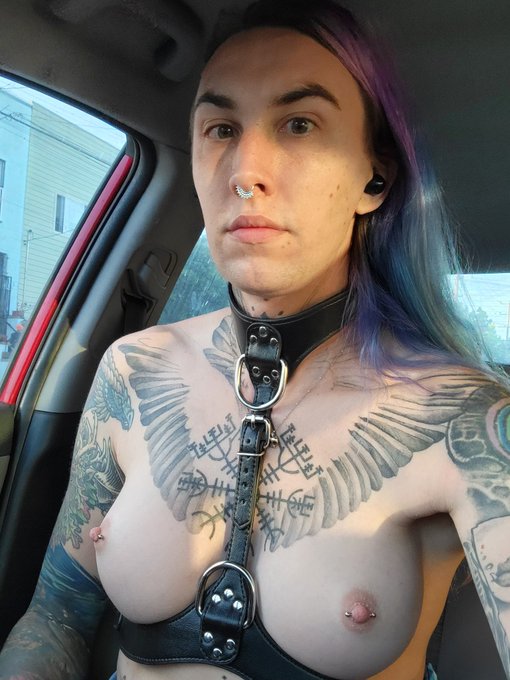 I'm so tired, but I'm in love with my new harness https://t.co/k4GOuBjfxZ<a href="/tag/fuckme"class="tags"><span>#fuckme</span></a><a href="/tag/tgirl"class="tags"><span>#tgirl</span></a><a href="/tag/submissive"class="tags"><span>#submissive</span></a><a href="/tag/bottom"class="tags"><span>#bottom</span></a><a href="/tag/toying"class="tags"><span>#toying</span></a>