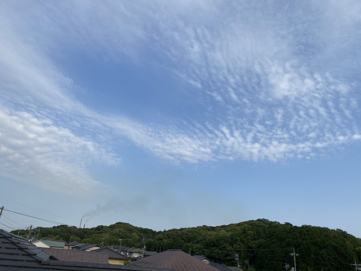 加進悦子 S Tweet 夕空 アーティチョーク こんばんは お疲れ様でした 良く晴れて暑い一日 梅雨の中休みかな アーティチョーク 蕾で花はまだ この蕾食べれるらしいけど 美味しいのかな あまり食べたく無いような 花言葉は沢山あるけど 傷付く心 警告 Etc 今日 加進悦子 S Tweet 夕空 アーティチョーク こんばんは お疲れ様でした 良く晴れて暑い一日 梅雨の中休みかな アーティチョーク 蕾で花はまだ この蕾食べれるらしいけど 美味しいのかな あまり食べたく無いような 花言葉は沢山あるけど 傷付く心 警告 Etc 今日