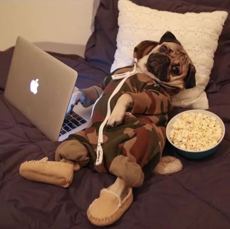 Working from home while other kids  are freezing outside.